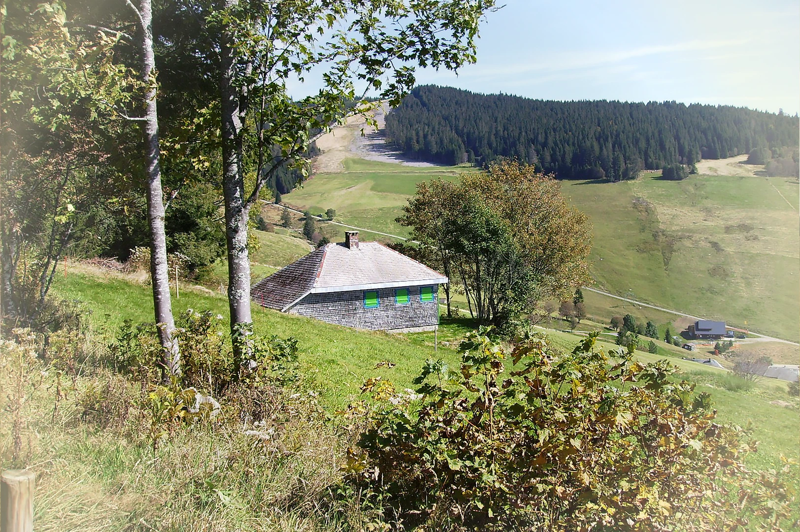 хижина Хайдеггера